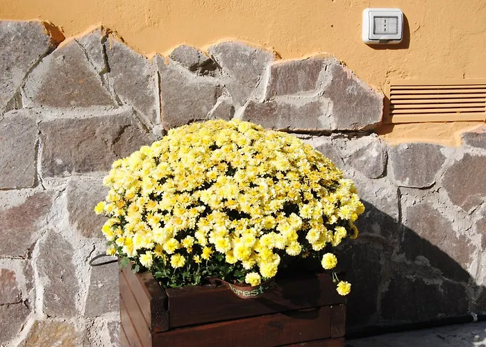 Il Portoncino Apartment
